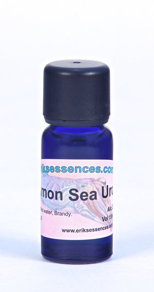 SE 18. Common Sea Urchin - warm olive green. Sea Essence. 15ml