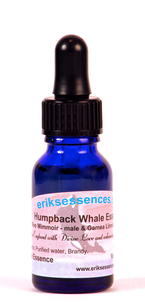 WE 05. Humpback Whale ( Vivo Mimmoir - male & Gamea Linnola - female ). 15ml