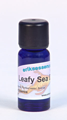 SE 29. Leafy Sea Dragon -  deep pinkish violet. Sea Essence. 15ml