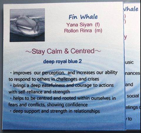 Dolphin & Whale Card Set