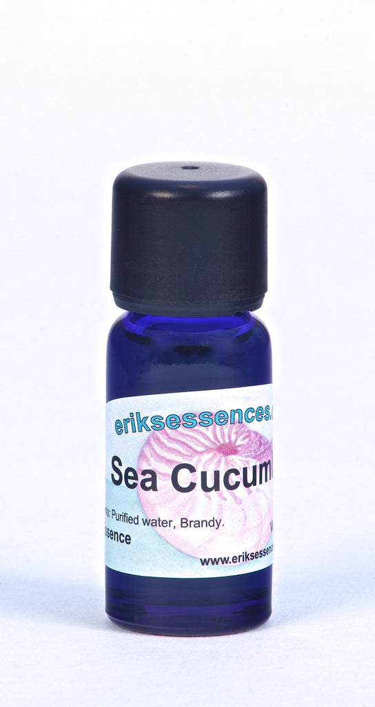 SE 05. Sea Cucumber - Aquamarine. Sea Essence. 15ml