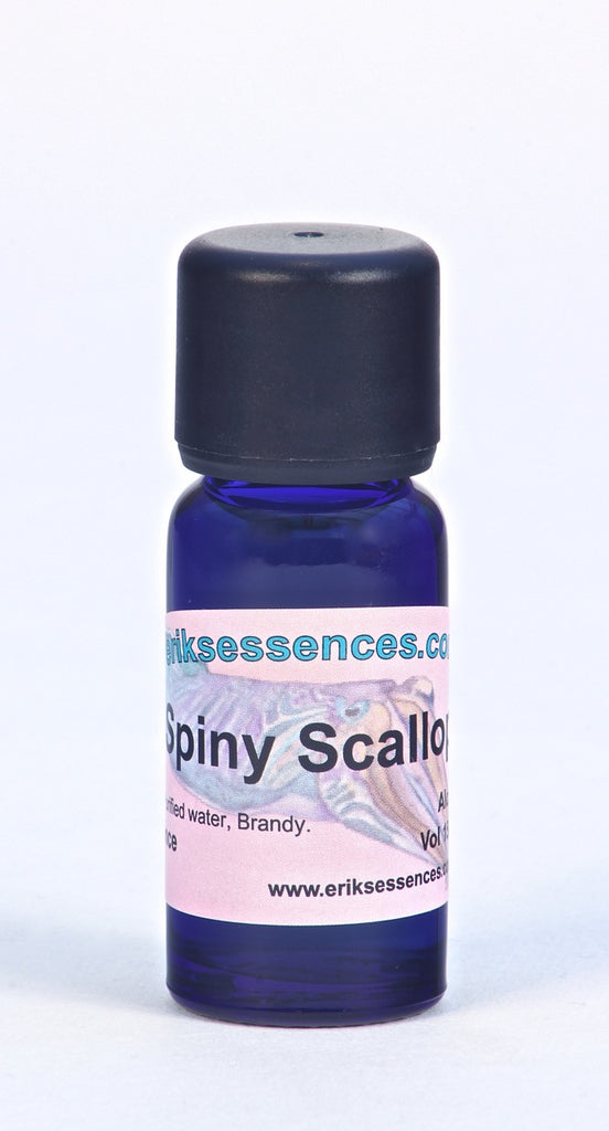 SE 20. Spiny Scallop - purple. Sea Essence. 15ml