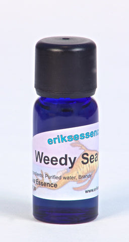 SE 30. Weedy Sea Dragon - orange. Sea Essence. 15ml